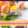 ไข่ไก่ แหล่งโปรตีนคุณภาพสูง กินดีทุกวัย กินได้ทุกวัน