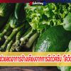 4 อาหาร ช่วยลดอาการข้างเคียงจากการฉีดวัคซีน “โควิด-19” ได้