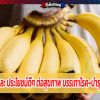 “กล้วย” และ ประโยชน์ดีๆ ต่อสุขภาพ บรรเทาโรคระบบทางเดินอาหาร-บำรุงร่างกาย