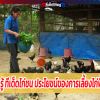 ประโยชน์ของการเลี้ยงไก่พื้นเมือง
