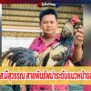 เบิร์ด ซุ้ม ส.มีสุวรรณ ไก่ชนสายพันธ์พม่าระดับแนวหน้าของประเทศ