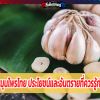 10 สมุนไพรไทย ประโยชน์และอันตรายที่ควรรู้ก่อนกิน