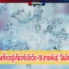 7 ข้อมูลที่ควรรู้เกี่ยวกับโควิด-19 สายพันธุ์ “โอมิครอน”