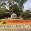 สรุปผลแข่งขันไก่ชน  ณ สนามไก่ชนทุ่งทะเลหลวงสุโขทัยวันที่ 15 ม.ค.65  ทีเด็ดไก่ชน