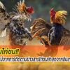 6 ประโยชน์ของการติดตามข่าวสารไก่ชนล่าสุดผ่านช่องทางออนไลน์