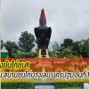 สรุปผลแข่งขันไก่ชน ณ สนามชนไก่บางเลน นครปฐม วันที่ 12 ก.พ. 65 