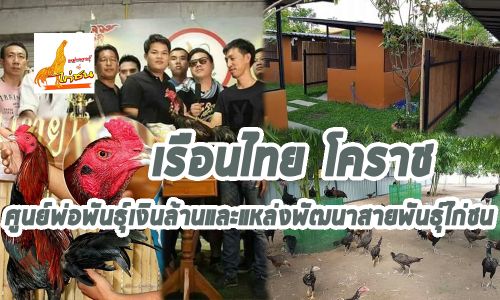 เรือนไทยโคราชของเสี่ยแซม เรือนไทยโคราชของเสี่ยแซม