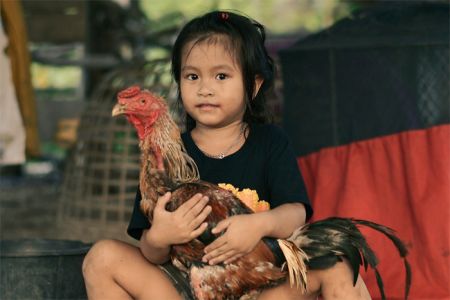ความสุขของเด็กเมืองเพชร  ความสุขของเด็กเมืองเพชร