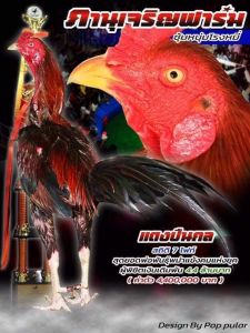 เจ้าแดงปืนกล เจ้าแดงปืนกล