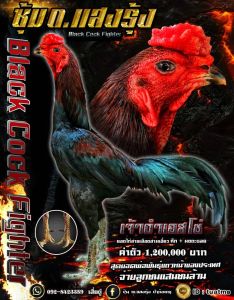 เจ้าดำเอสโซ่ เจ้าดำเอสโซ่