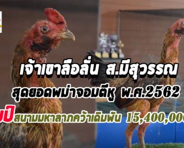 เจ้าเยียร์เขาลือลั่นไก่เงินล้าน พม่าแข้งคมแห่งที่ราบสูง แชมป์สนามมหาลาภ เจ้าเยียร์เขาลือลั่นไก่เงินล้าน พม่าแข้งคมแห่งที่ราบสูง แชมป์สนามมหาลาภ