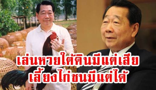 เล่นหวยใต้ดินมีแต่เสีย เลี้ยงไก่ชนมีแต่ได้ เล่นหวยใต้ดินมีแต่เสีย เลี้ยงไก่ชนมีแต่ได้