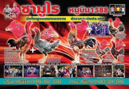 เจ้าเยียร์แดง แห่งซุ้ม ซามูไร หมูบิน 1588 เจ้าเยียร์แดง แห่งซุ้ม ซามูไร หมูบิน 1588