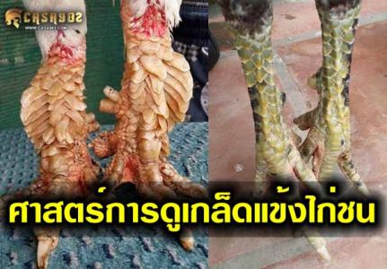 ศาสตร์การดูเกล็ดตามตำราโบราณ ศาสตร์การดูเกล็ดตามตำราโบราณ