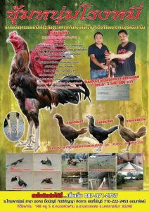 เปิดตำนานไก่เก่งยอดไก่เงินล้าน “เจ้าฟรีคิก” เปิดตำนานไก่เก่งยอดไก่เงินล้าน “เจ้าฟรีคิก”