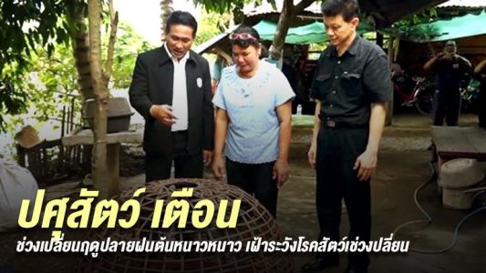 กรมปศุสัตว์ ชี้สภาพอากาศเปลี่ยน สัตส์ปีกเสี่ยงอ่อนแอติดเชื้อโรคได้ง่าย กรมปศุสัตว์ ชี้สภาพอากาศเปลี่ยน สัตส์ปีกเสี่ยงอ่อนแอติดเชื้อโรคได้ง่าย