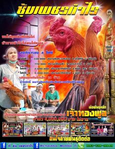 เจ้าทองพูล เพชรกำไร เจ้าทองพูล เพชรกำไร