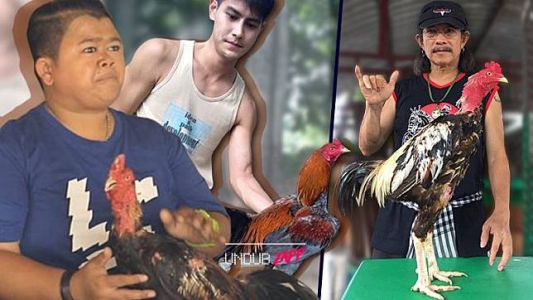 8 ดารา – นักร้องที่ ชื่นชอบการเลี้ยงไก่ชน 8 ดารา – นักร้องที่ ชื่นชอบการเลี้ยงไก่ชน