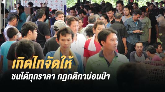 ปฎิวัติสนามชนไก่ ชนได้ทุกราคา สนามกีฬาไก่ชนเทิดไทจัดให้ ปฎิวัติสนามชนไก่ ชนได้ทุกราคา สนามกีฬาไก่ชนเทิดไทจัดให้