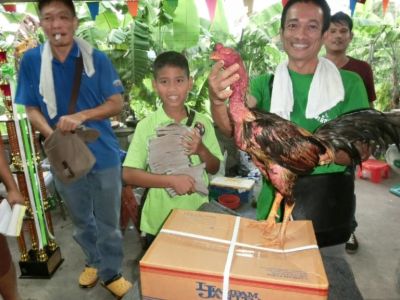 ซุ้มเด็กเพชร แหล่งเพาะพันธุ์ไก่ชน เพชรบุรี ซุ้มเด็กเพชร แหล่งเพาะพันธุ์ไก่ชน เพชรบุรี