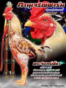 เจ้าพระจันทร์เสี้ยว  เจ้าพระจันทร์เสี้ยว