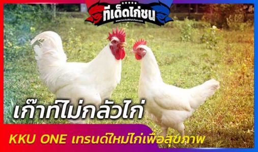  เก๊าท์ไม่กลัวไก่ KKU ONE เทรนด์ใหม่ไก่เพื่อสุขภาพ