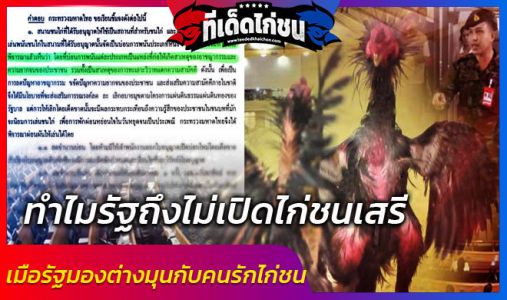 ถึงบางอ้อทำไมรัฐถึงไม่ส่งเสริมการเปิดบ่อนชนไก่แบบเสรีซะที