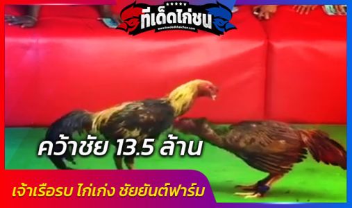 เจ้าเรือรบ ไก่ชนซุ้มชัยยันต์ฟาร์ม คว้าชัย 13,500,000 บาท เจ้าเรือรบ ไก่ชนซุ้มชัยยันต์ฟาร์ม คว้าชัย 13,500,000 บาท