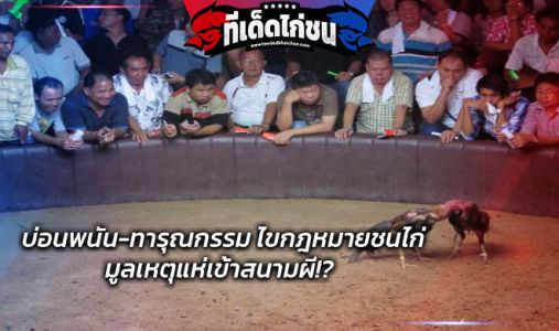 บ่อนพนัน-ทารุณกรรม ไขกฎหมายชนไก่ มูลเหตุแห่เข้าสนามผี!? บ่อนพนัน-ทารุณกรรม ไขกฎหมายชนไก่ มูลเหตุแห่เข้าสนามผี!?