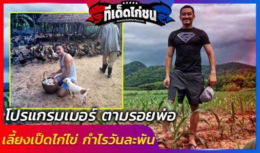 โปรแกรมเมอร์ ตามรอยพ่อ เลี้ยงเป็ดไก่ไข่ กำไรวันละพัน  โปรแกรมเมอร์ ตามรอยพ่อ เลี้ยงเป็ดไก่ไข่ กำไรวันละพัน