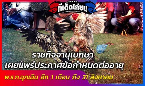 นายกฯ อนุมัติ เปิดสนามชนไก่ - ชนโค - ปลากัด - กองถ่าย เซียนชนไก่ได้เวลาเฮ นายกฯ อนุมัติ เปิดสนามชนไก่ - ชนโค - ปลากัด - กองถ่าย เซียนชนไก่ได้เวลาเฮ