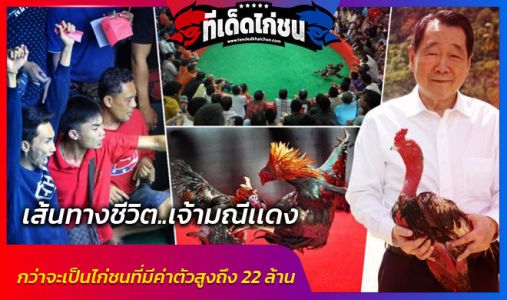 เส้นทางชีวิต…เจ้ามณีแดง    กว่าจะเป็นไก่ชนที่มีค่าตัวสูงถึง 22 ล้าน เส้นทางชีวิต…เจ้ามณีแดง    กว่าจะเป็นไก่ชนที่มีค่าตัวสูงถึง 22 ล้าน