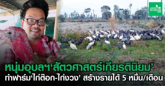 หนุ่มอุบลราชธานี จบสัตวศาสตร์เกียรตินิยม ทำฟาร์มไก่ต๊อก ไก่งวง สร้างรายได้เดือน  หนุ่มอุบลราชธานี จบสัตวศาสตร์เกียรตินิยม ทำฟาร์มไก่ต๊อก ไก่งวง สร้างรายได้เดือน