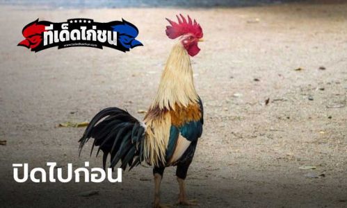 กทม.กาง พ.ร.ก.ฉุกเฉิน ประกาศปิดสนามไก่ชน-วัวชน-ปลากัด ชั่วคราวถึง 31 ส.ค. กทม.กาง พ.ร.ก.ฉุกเฉิน ประกาศปิดสนามไก่ชน-วัวชน-ปลากัด ชั่วคราวถึง 31 ส.ค.