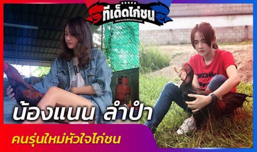 เทคนิกการเลี้ยงไก่ชนสำหรับมือใหม่ แบบฉบับ น้องแนน ลำปำ คนรุ่นใหม่หัวใจไก่ชน  เทคนิกการเลี้ยงไก่ชนสำหรับมือใหม่ แบบฉบับ น้องแนน ลำปำ คนรุ่นใหม่หัวใจไก่ชน