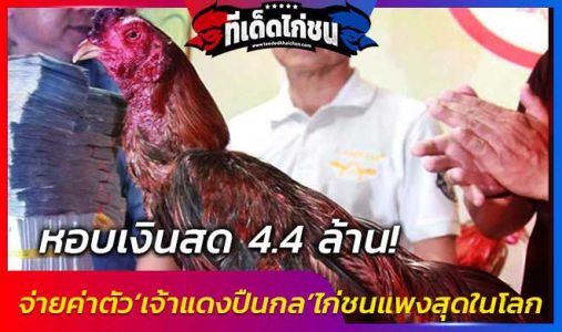 หอบเงินสด 4.4 ล้าน!! จ่ายค่าตัว‘เจ้าแดงปืนกล’ไก่ชนแพงสุดในโลก ‘สมศักดิ์’เป็นพยาน หอบเงินสด 4.4 ล้าน!! จ่ายค่าตัว‘เจ้าแดงปืนกล’ไก่ชนแพงสุดในโลก ‘สมศักดิ์’เป็นพยาน