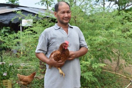“เลี้ยงไก่ไข่” ไม่ขังกรง ไก่ไม่เครียด เน้นให้หากินเอง อาชีพบ้านๆ สร้างรายได้ดี “เลี้ยงไก่ไข่” ไม่ขังกรง ไก่ไม่เครียด เน้นให้หากินเอง อาชีพบ้านๆ สร้างรายได้ดี