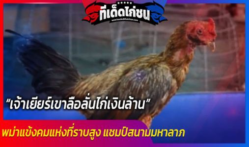 เจ้าเยียร์เขาลือลั่นไก่เงินล้าน พม่าแข้งคมแห่งที่ราบสูง แชมป์สนามมหาลาภ