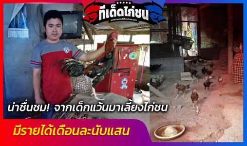 น่าชื่นชม!จากเด็กแว้นมาเลี้ยงไก่ชนมีรายได้เดือนละนับแสน                      น่าชื่นชม!จากเด็กแว้นมาเลี้ยงไก่ชนมีรายได้เดือนละนับแสน