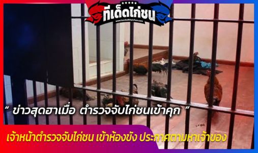 ข่าวสุดฮาเมื่อ ตำรวจจับไก่ชนเข้าคุก ข่าวสุดฮาเมื่อ ตำรวจจับไก่ชนเข้าคุก