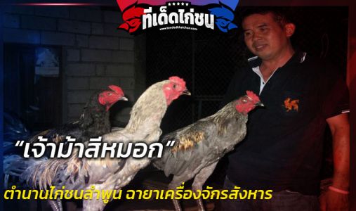 มารู้จักตำนานไก่ชนลำพูน ฉายาเครื่องจักรสังหาร. มารู้จักตำนานไก่ชนลำพูน ฉายาเครื่องจักรสังหาร.