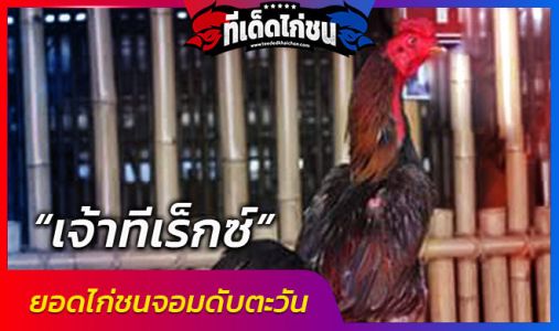 เจ้าทีเร็กซ์  ยอดไก่ชนจอมดับตะวัน  เจ้าทีเร็กซ์  ยอดไก่ชนจอมดับตะวัน