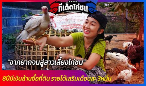 8 ปีมีเงินล้านซื้อที่ดิน จากยากจนสู่สาวเลี้ยงไก่ชน รายได้เสริมเดือนละ 3 หมื่น 8 ปีมีเงินล้านซื้อที่ดิน จากยากจนสู่สาวเลี้ยงไก่ชน รายได้เสริมเดือนละ 3 หมื่น