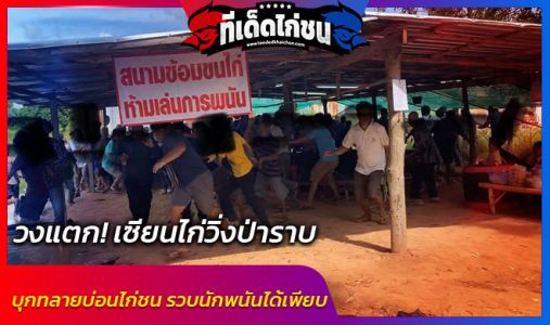 วงแตก! เซียนไก่วิ่งป่าราบ เจ้าหน้าที่ จ.มหาสารคาม บุกทลายบ่อนไก่ชน รวบนักพนันได้ วงแตก! เซียนไก่วิ่งป่าราบ เจ้าหน้าที่ จ.มหาสารคาม บุกทลายบ่อนไก่ชน รวบนักพนันได้