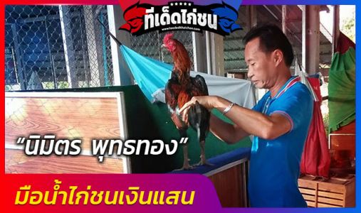 นิมิตร พุทธทอง มือน้ำไก่ชนเงินแสน