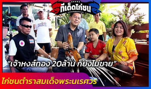 เจ้าของใจแข็ง 20 ล้านไม่ขาย ! ไก่ชนตำราสมเด็จพระนเรศวร เจ้าของใจแข็ง 20 ล้านไม่ขาย ! ไก่ชนตำราสมเด็จพระนเรศวร