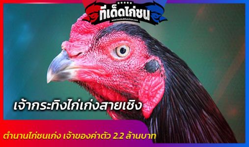 ตำนานไก่ชนเก่งที่ยังมีชีวิต เจ้ากระทิงไก่เก่งสายเชิง เจ้าของค่าตัว 2.2 ล้านบาท  ตำนานไก่ชนเก่งที่ยังมีชีวิต เจ้ากระทิงไก่เก่งสายเชิง เจ้าของค่าตัว 2.2 ล้านบาท