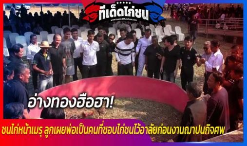 รู้ว่าพ่อชอบ! เลยอยากทำให้เป็นครั้งสุดท้ายเมื่อเสียชีวิตเลยขอจัดการชนไก่ชนหน้าเม รู้ว่าพ่อชอบ! เลยอยากทำให้เป็นครั้งสุดท้ายเมื่อเสียชีวิตเลยขอจัดการชนไก่ชนหน้าเม