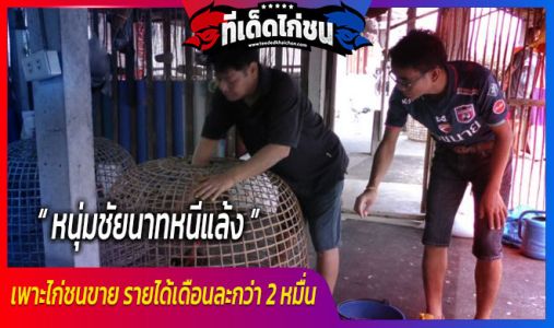หนุ่มชัยนาทหนีแล้ง เพาะไก่ชนขาย รายได้เดือนละกว่า 2 หมื่น หนุ่มชัยนาทหนีแล้ง เพาะไก่ชนขาย รายได้เดือนละกว่า 2 หมื่น