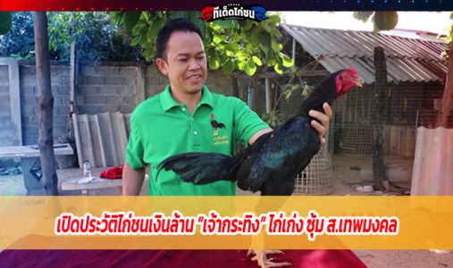 เปิดประวัติไก่ชนเงินล้าน “เจ้ากระทิง” ไก่เก่ง ซุ้ม ส.เทพมงคล